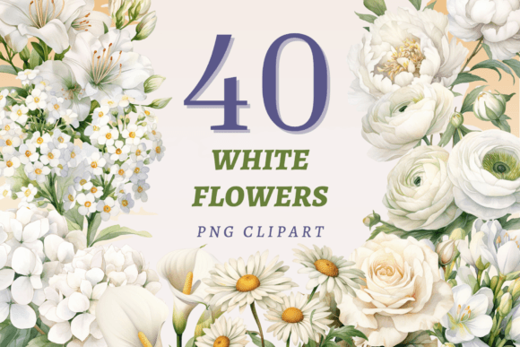 Download White Flowers PNG Bundle - Bundle Collection