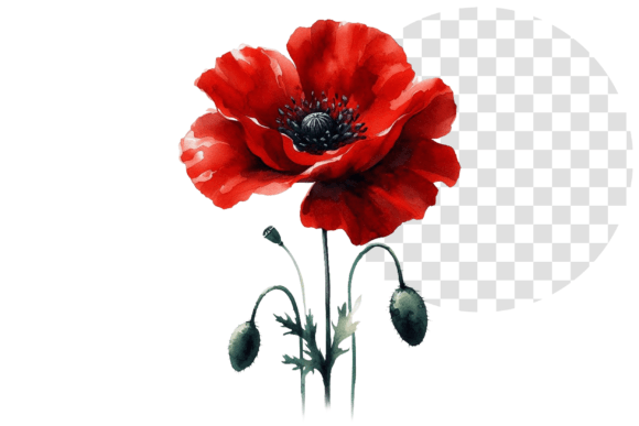 Download Poppify Watercolor Red Poppy Clipart - Red poppy clipart Collection