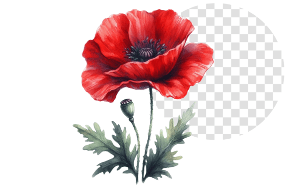 Download Poppify Watercolor Red Poppy Clipart - Red poppy clipart Collection