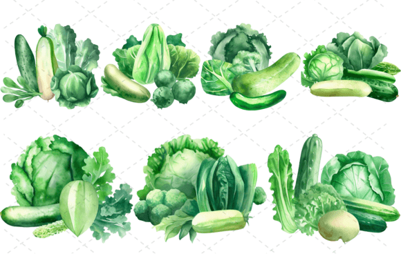 Download 7 Watercolor Green Vegetables Bundle - Bundle Collection