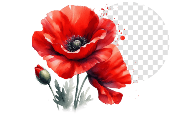 Download Poppify Watercolor Red Poppy Clipart - Red poppy clipart Collection