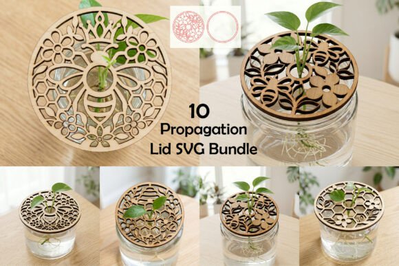 Download Bee Propagation Lid SVG Bundle - Bundle Collection