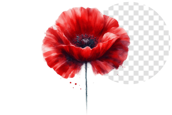 Download Poppify Watercolor Red Poppy Clipart - Premium Bundle
