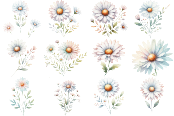 Download 12 Daisy Watercolor Clipart Bundle - Bundle Collection