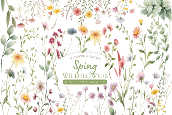 Download Watercolor Wildflower Clipart Bundle - Bundle Collection