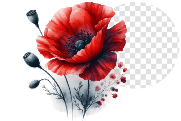 Download Poppify Watercolor Red Poppy Clipart - Red poppy clipart Collection