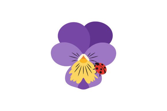 Download Purple Flower with Vibrant Petals and a - Vibrant petals Collection