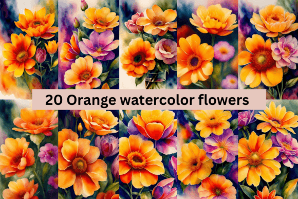 Download #2 Orange Watercolor Flowers Bundle - Bundle Collection