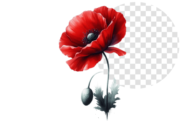 Download Poppify Watercolor Red Poppy Clipart - Red poppy clipart Collection