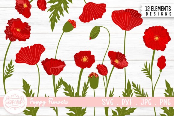 Download Poppy Flower Illustration Bundle | Poppy - Bundle Collection