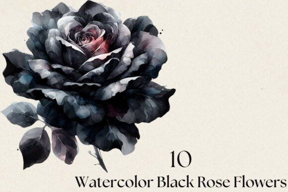 Download Watercolor Black Rose Flowers PNG Bundle - Bundle Collection